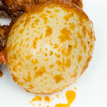 EGG